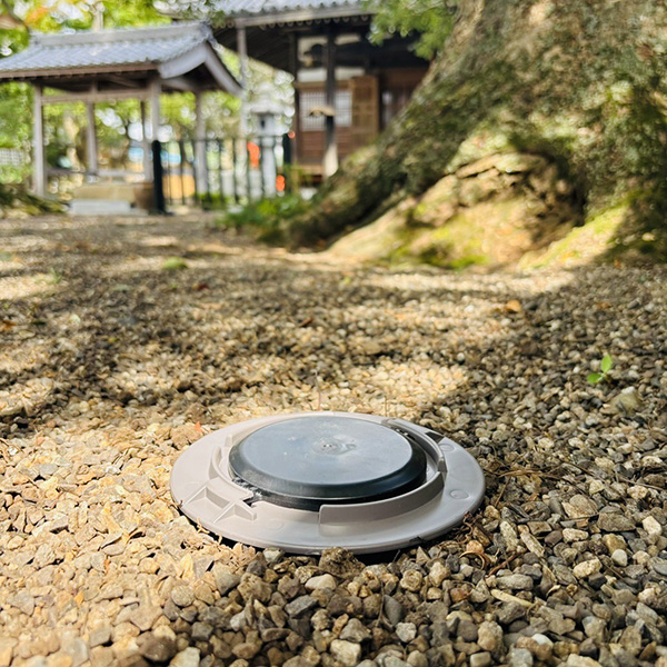 ベイト材埋設状況